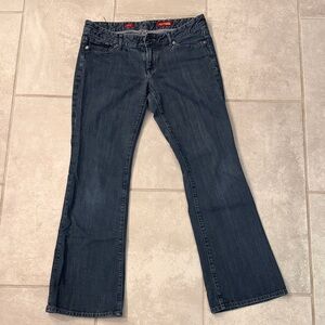 Express Dark Blue Flare Jeans